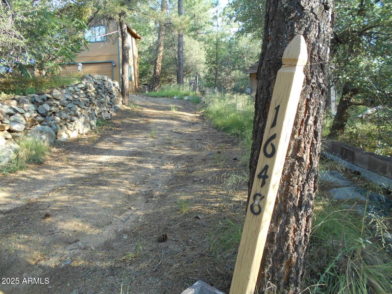 Secluded Driveway