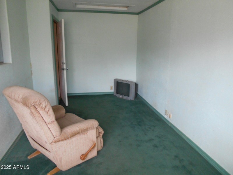 Apt Living Rm