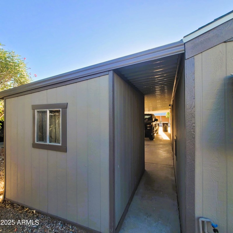 Backyard2_24