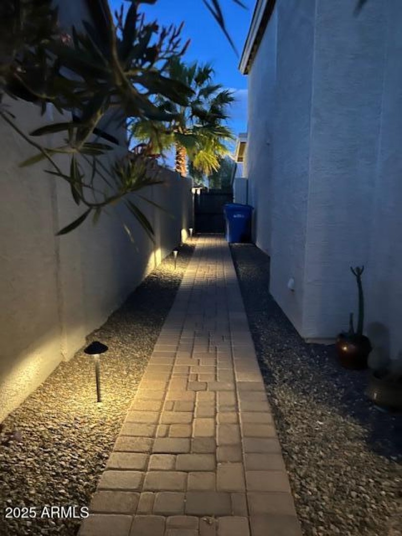 Sideyard at night
