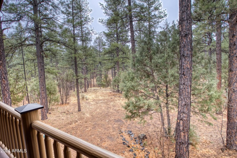 022_View from Back Deck
