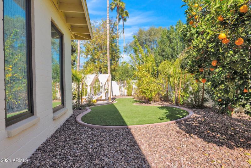 44-web-or-mls-P1017281