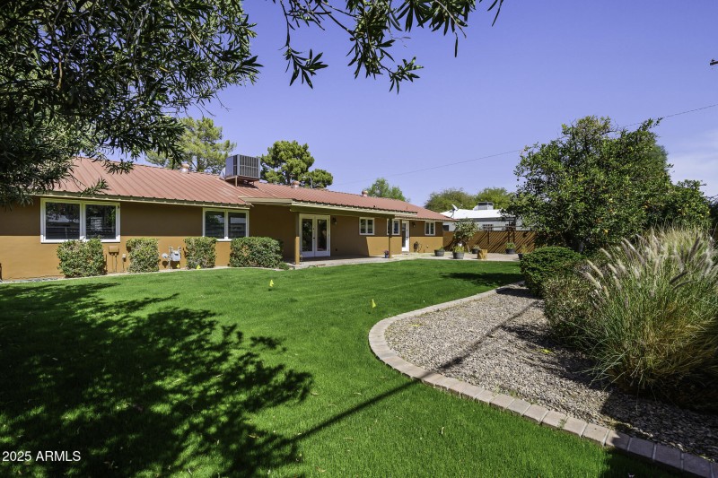 Manicured backyard