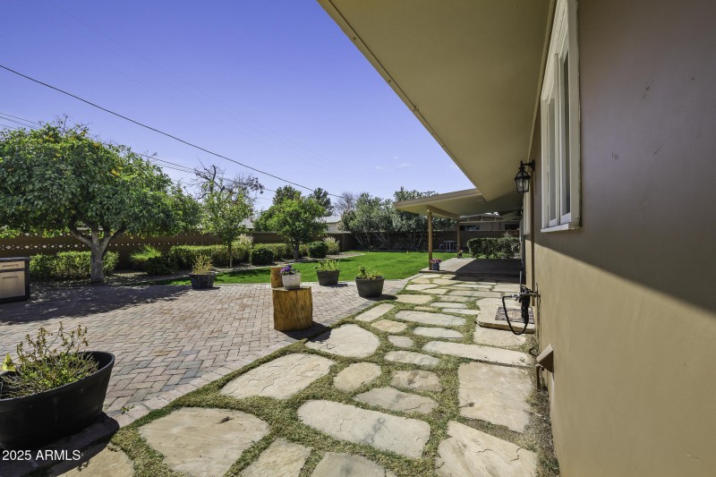 Expansive back yard