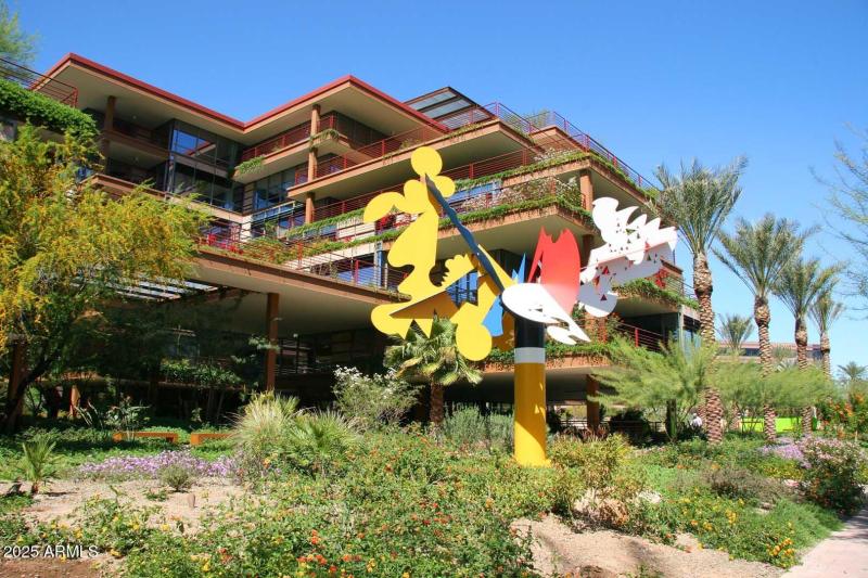 Camel View-Art Work2