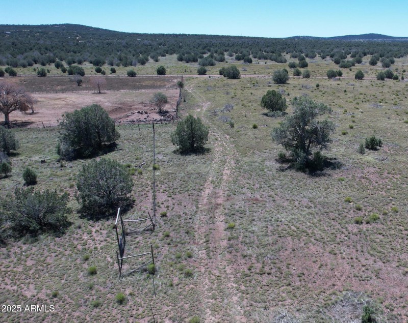 Road from Terry