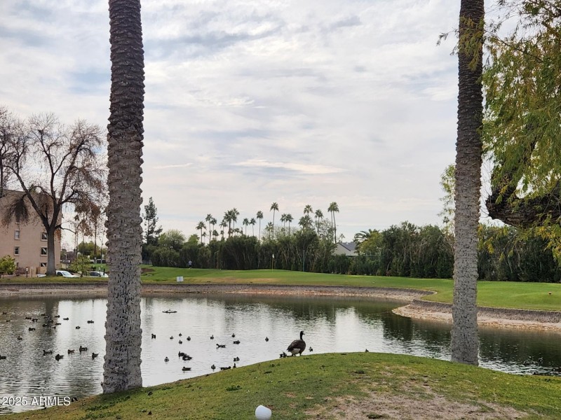 Golf Course