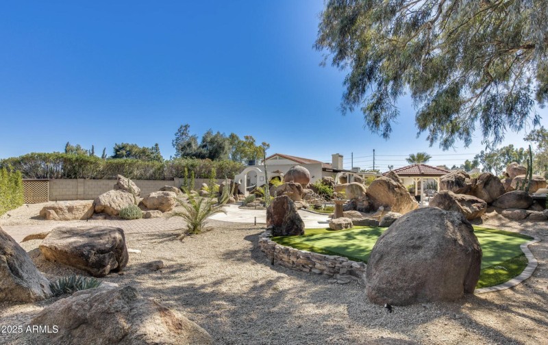 Backyard