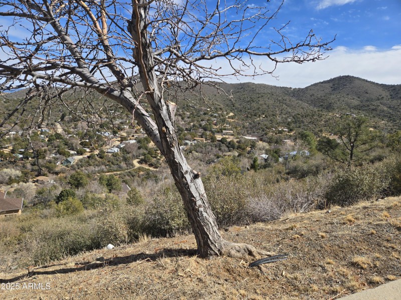 Newport Heights lot