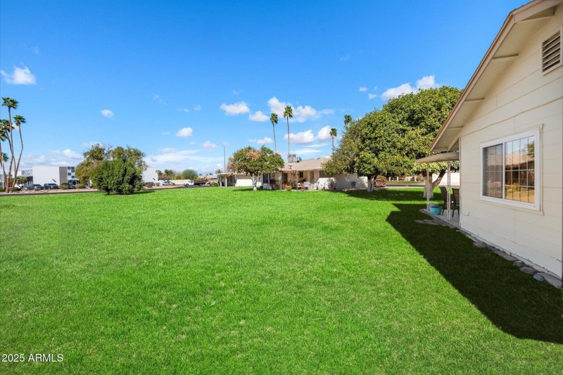 side yard grass area