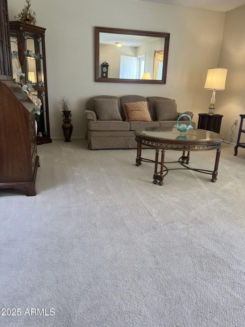 living room carpet