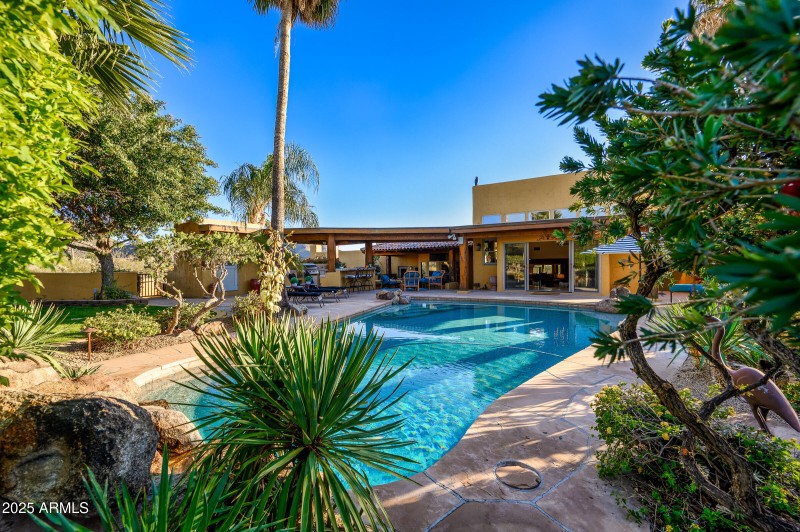 Backyard Oasis