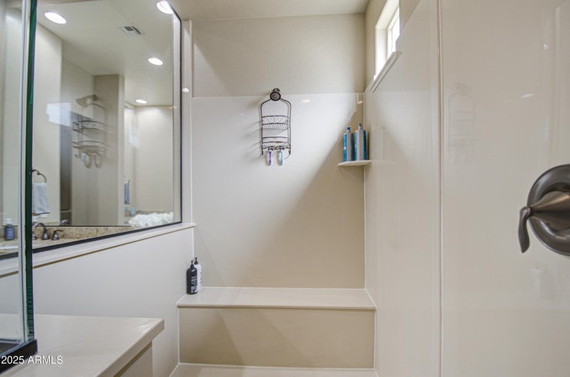 Primary Shower