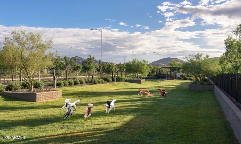 Union Park Community - 10