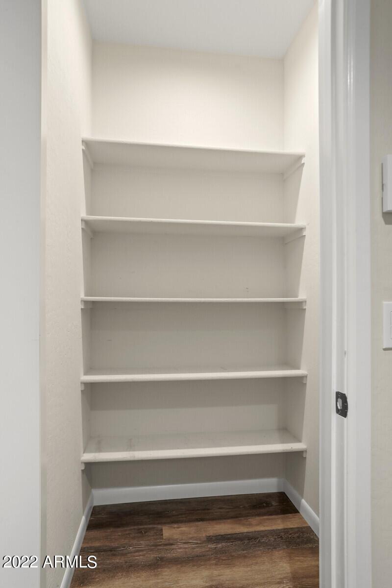 Lower level Closet