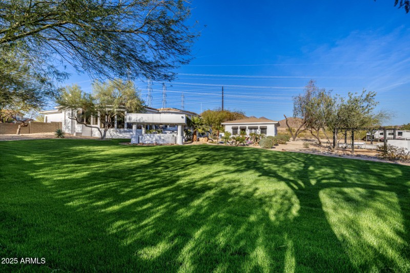 Spacious Lush Grass