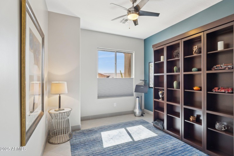 Bookcase Murphy Bed
