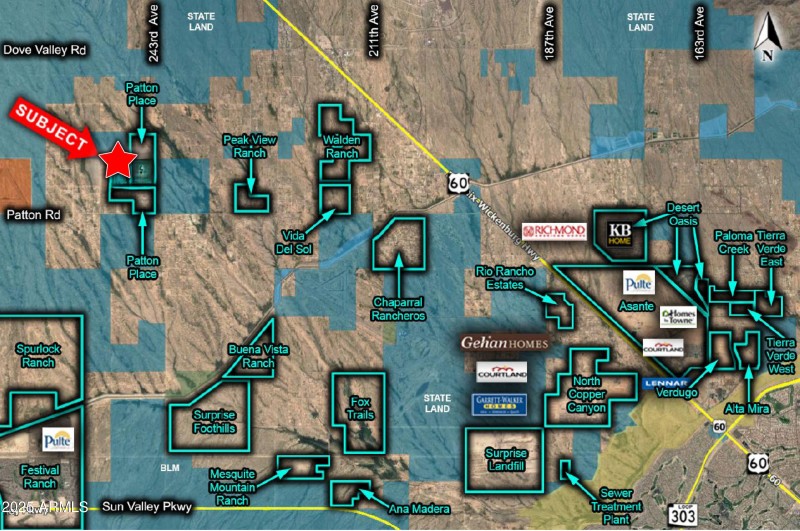 Layout1