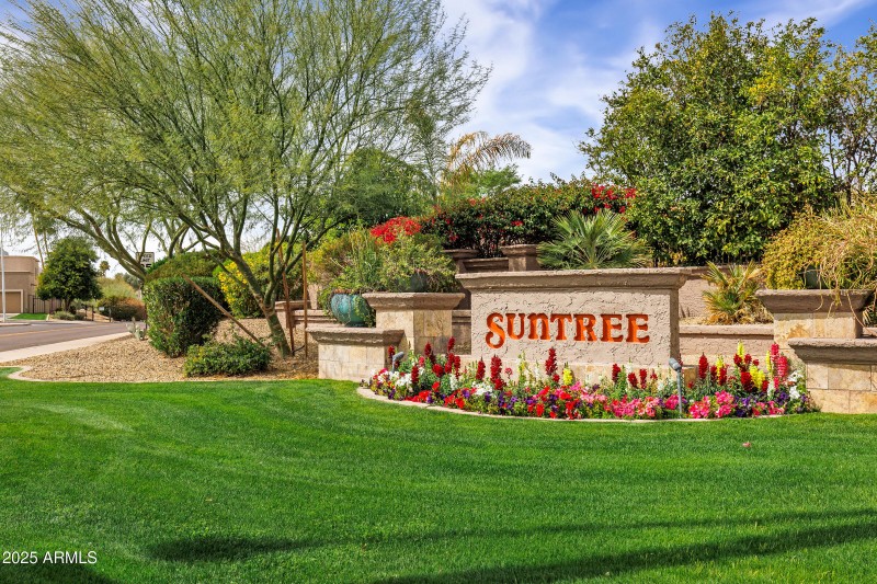 7818 E Cactus Wren Rd-51