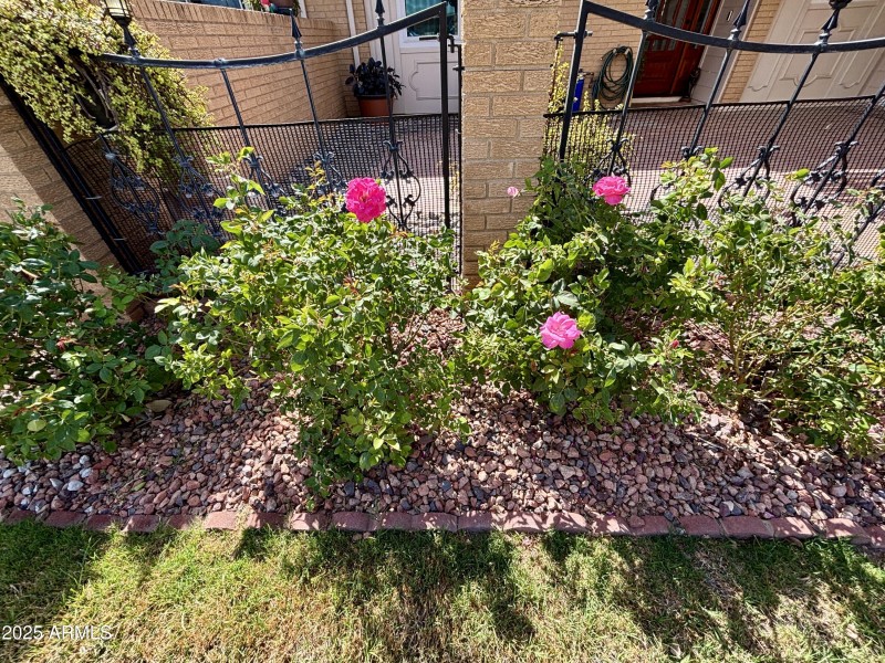 Lovely garden