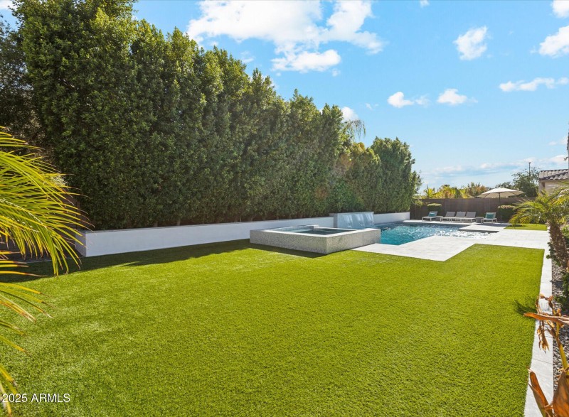 back yard1