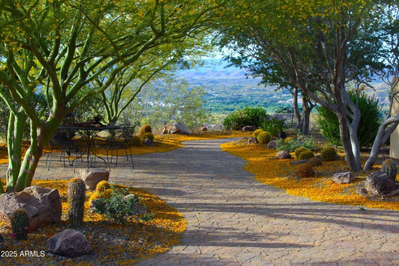 Tree-lined walkways