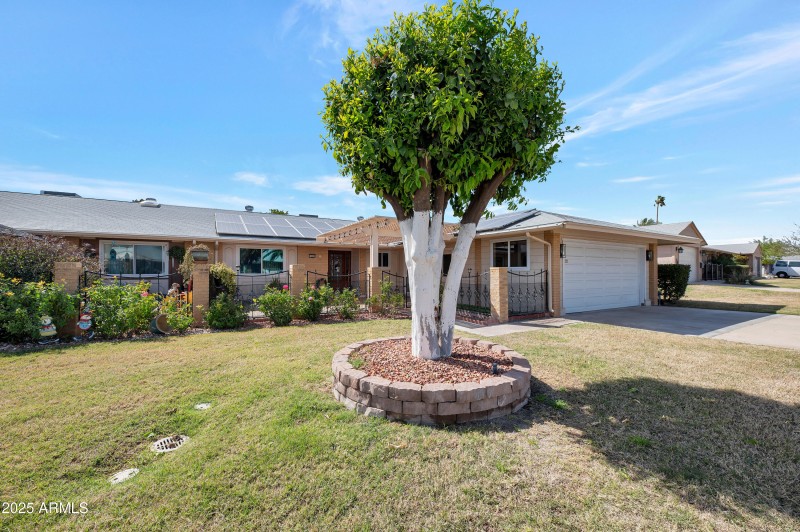 Home front and foliage