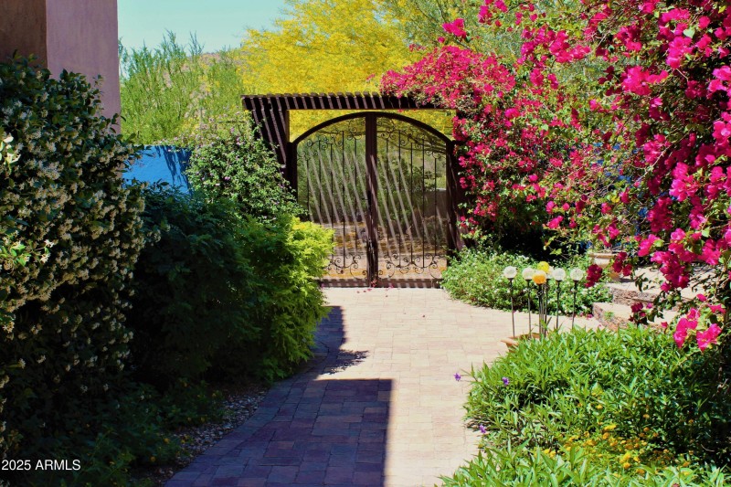Courtyard flora