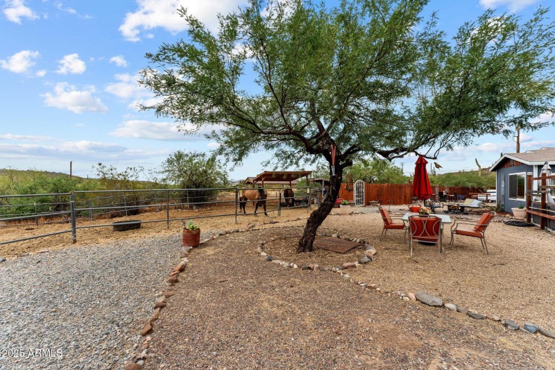 54-web-or-mls-DSC09585 (2)