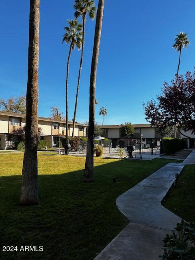 Community BBQ-Pool Area - East