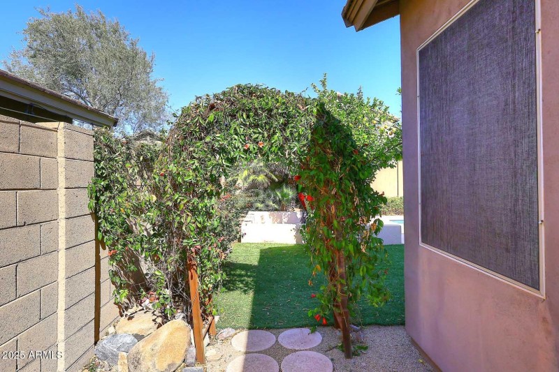 Side Yard