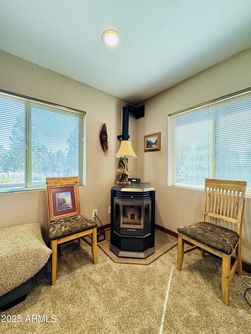 Pellet stove