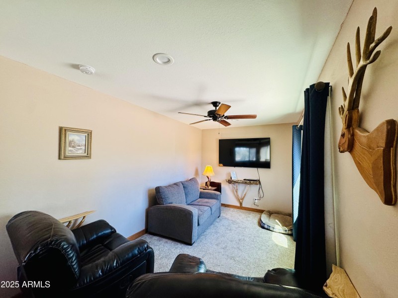 TV area