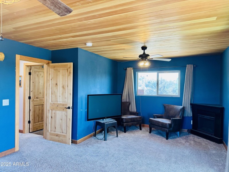 Master tv area
