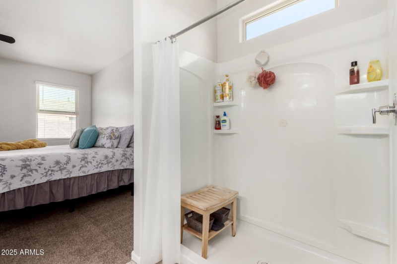 Primary Shower