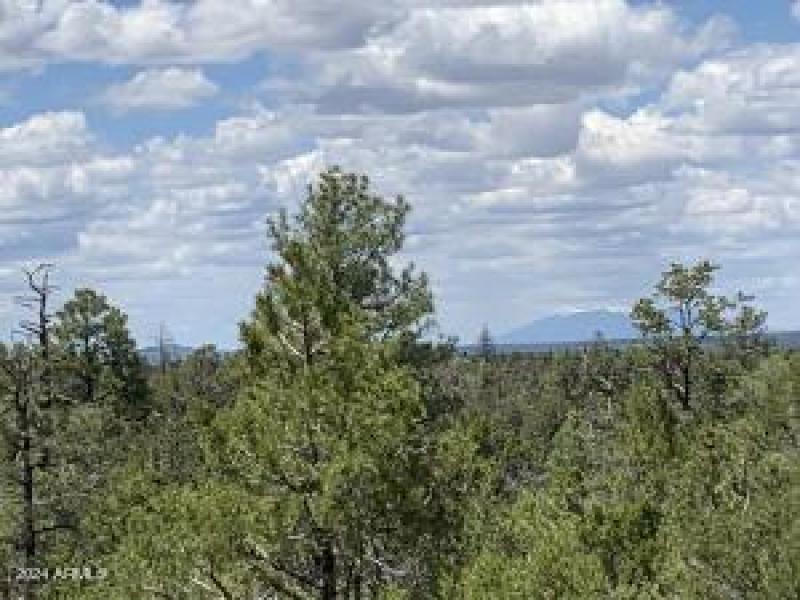 View of the Mountains