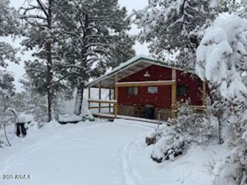 Winter wonderland