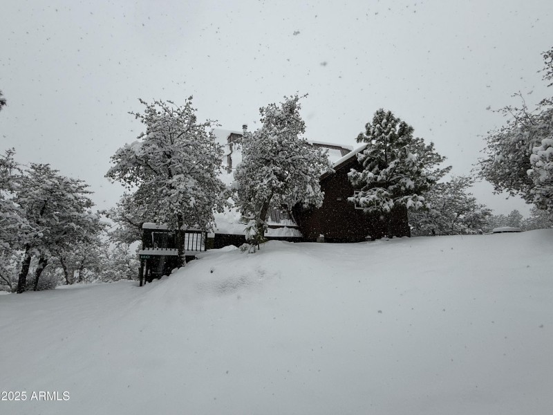 Cabin in the snow