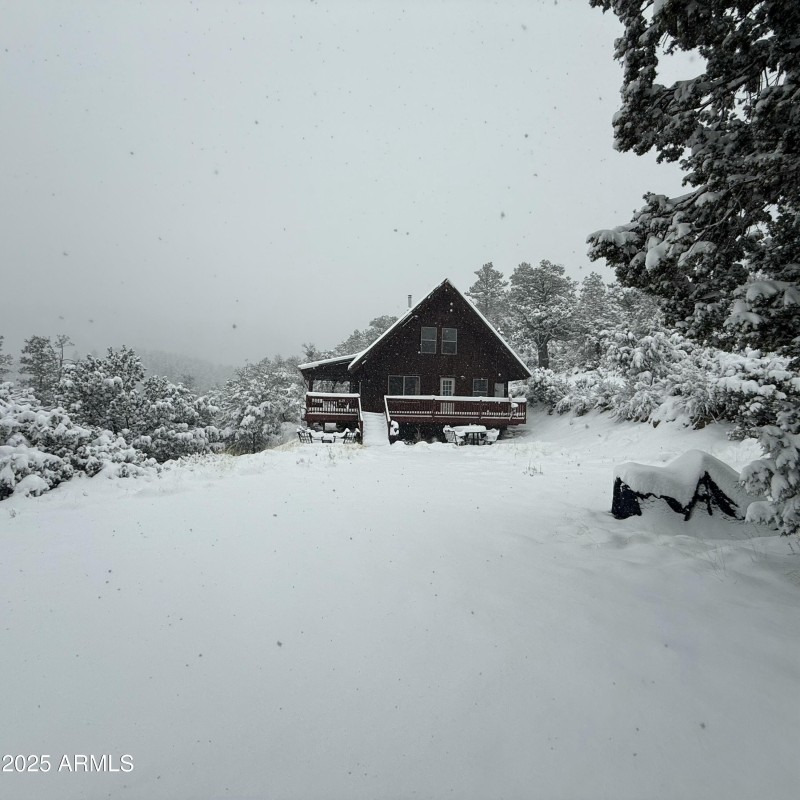 Cabin in the snow