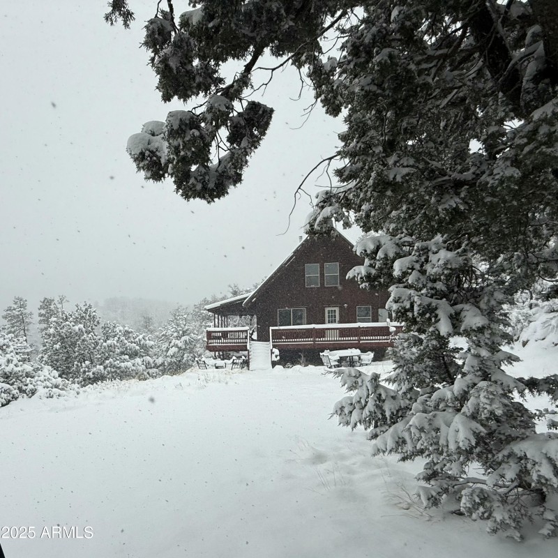 Cabin in the snow