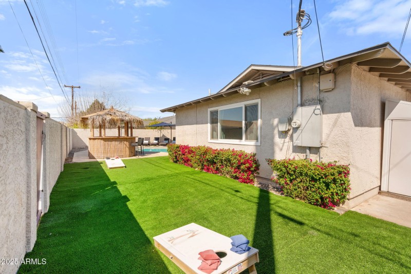 Backyard with synthetic grass