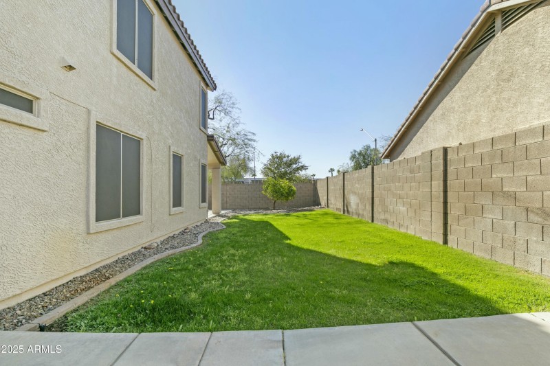 Grass Side Yard