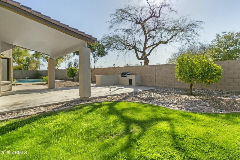 Backyard