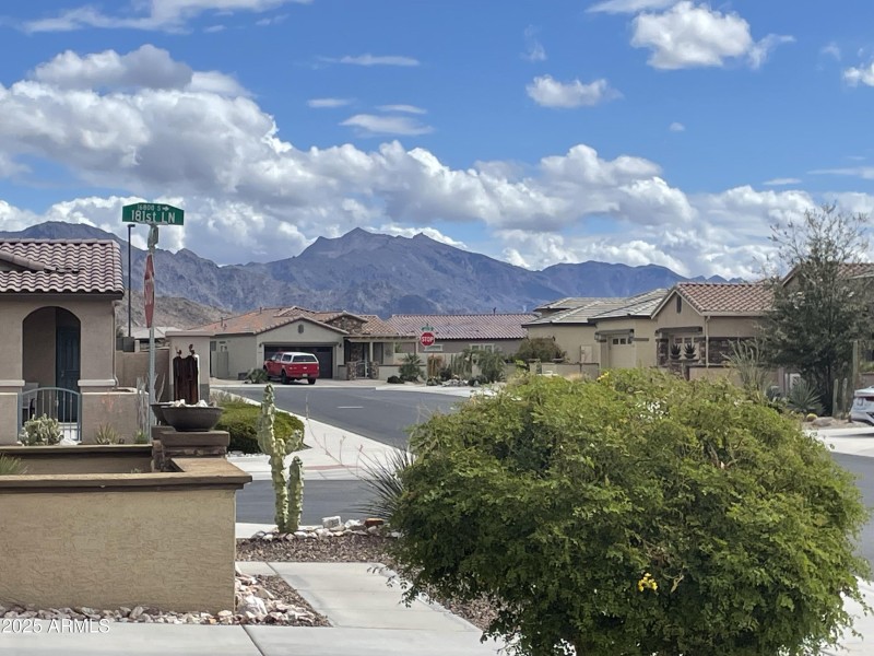 mountain view Cathie