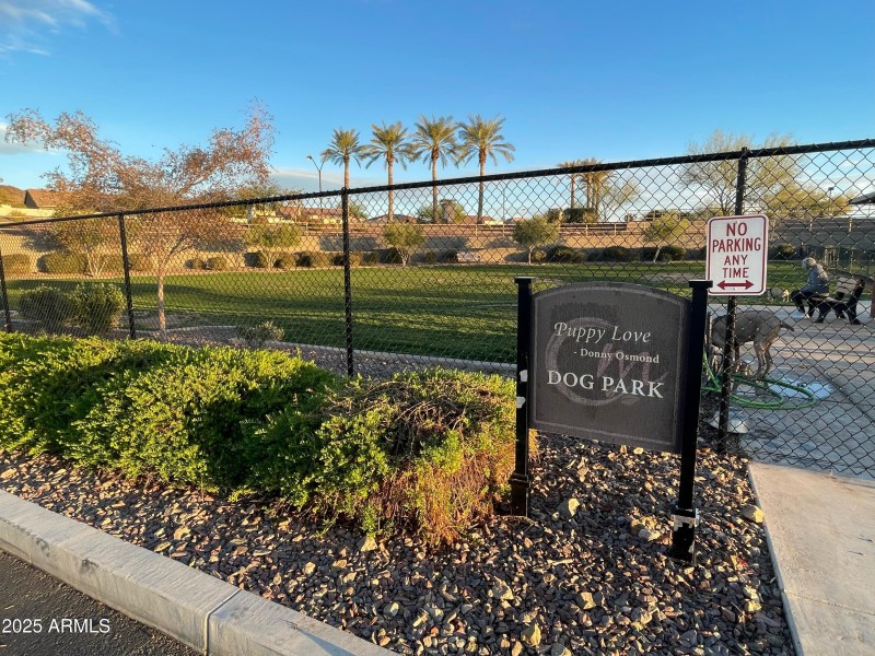 DOG PARK