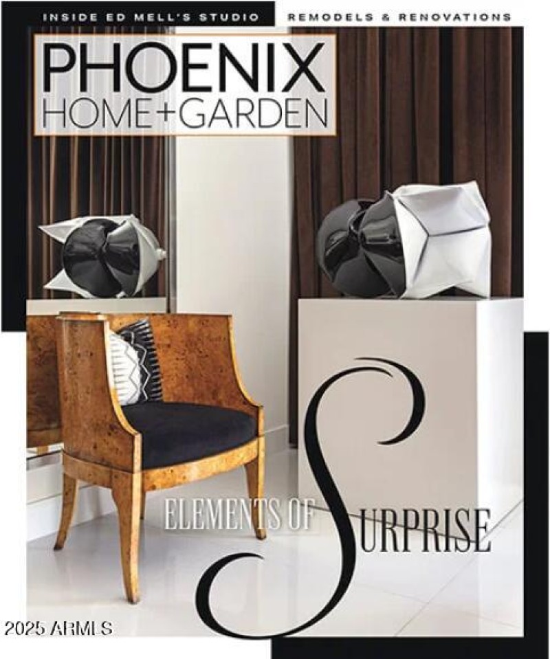 MAGAZINE COVER
