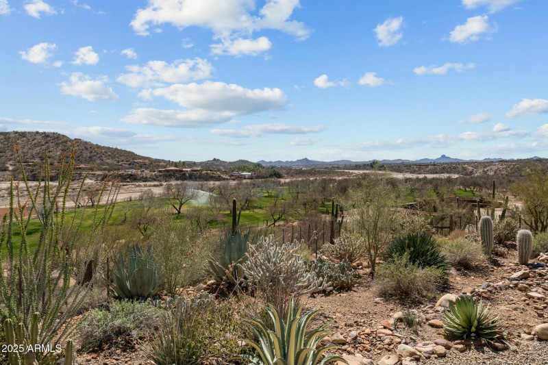 Desert Landscaping