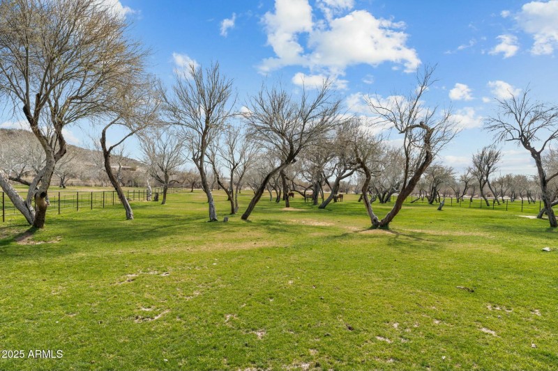 Irrigated Pastures
