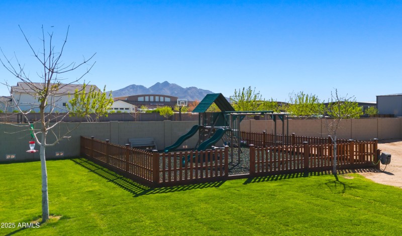 Backyard5