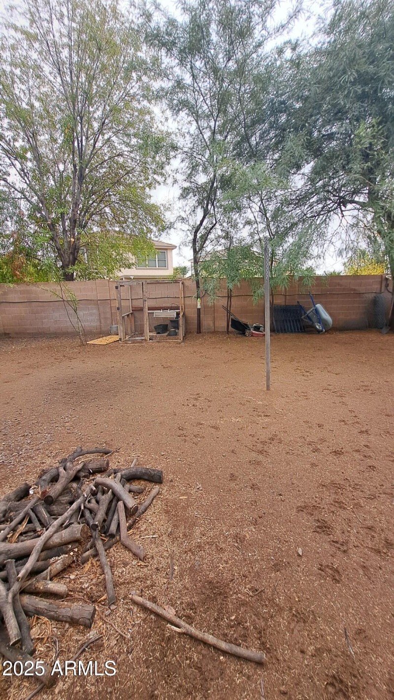 Backyard 3